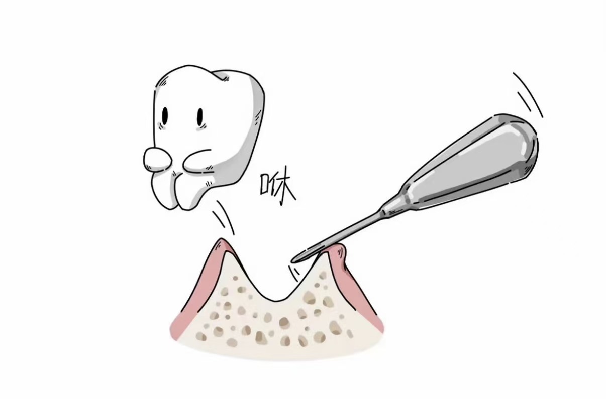 文章插图
